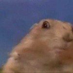 Music Lessons From a Dramatic Hamster
